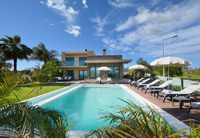 Villa de luxe avec grand jardin et piscine.