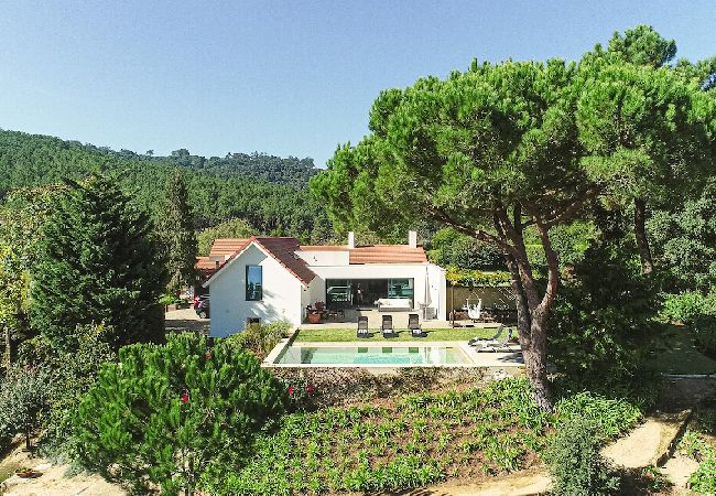 Villa in Sintra - Villa Santamaria