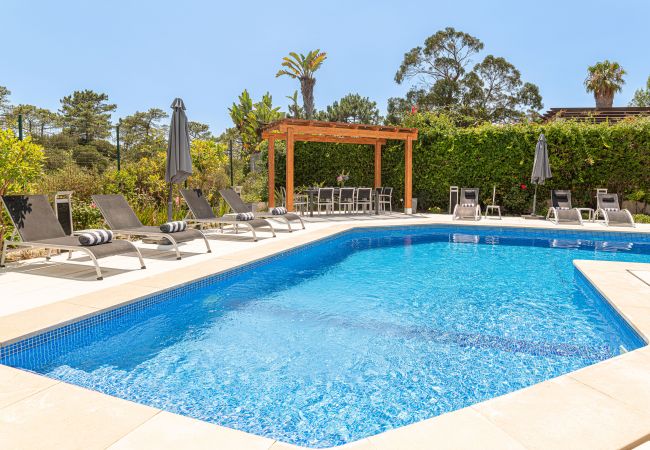 Swimming pool located in an outdoor space with all the amenities for a family holiday.